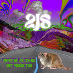 Rats In The Streets
