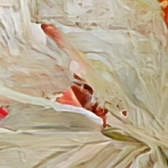twirl