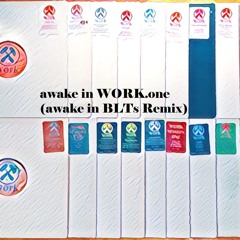 awake in WORK.one (awake in BLTs remix) * BLT Label Series *