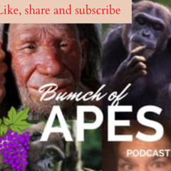 Neanderthals, interbreeding and a world exclusive with Chris Stringer