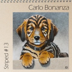 Striped # 13 - Carlo Bonanza