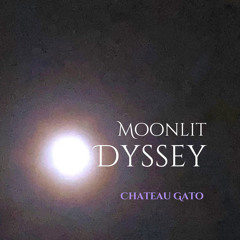 Moonlit Odyssey