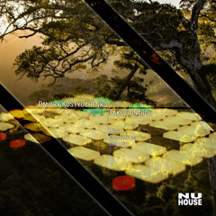 NH036 | Dmitry Kostyuchenko - Take Control (Dub Mix)