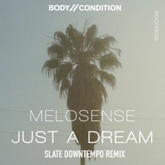 Melosense - Just a Dream (SLATE Downtempo Remix)