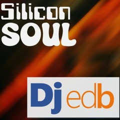 Silicon Soul