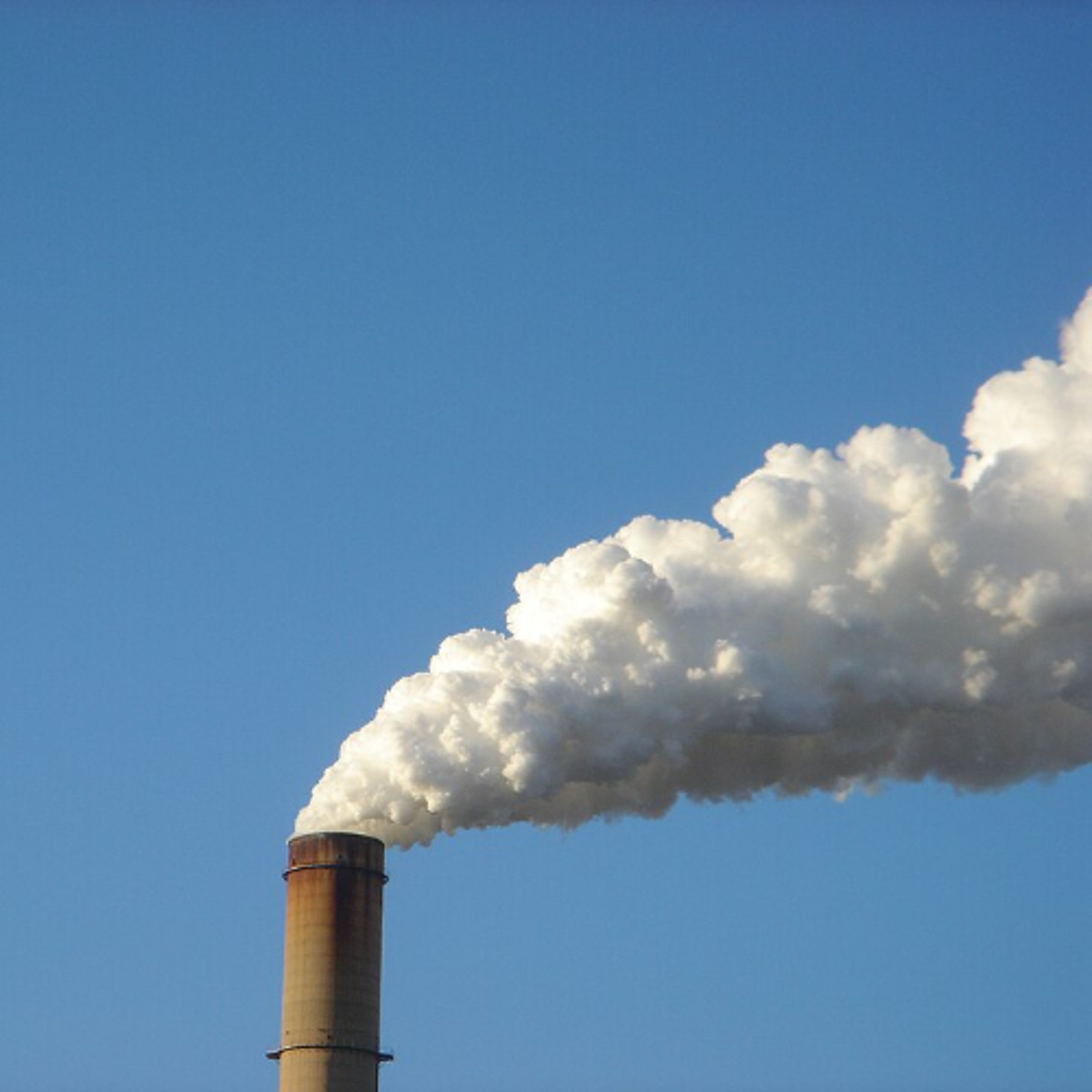 When Climate Change Goes to Court