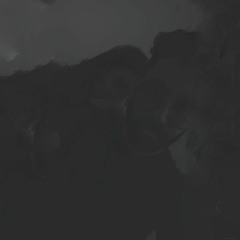 Bheega Bheega_Music_Video_|_Tahir_Raj_Bhasin,_Shweta_Tripathi_Sharma_|_Yeh_Kaali_Kaali_Ankhein(256k)