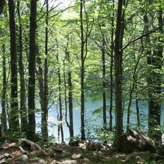 Electric guitar impro on 285 and 432 Hz frequencies