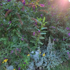 Gwen Stefani - Make Me Like You (Acoustic Cover)