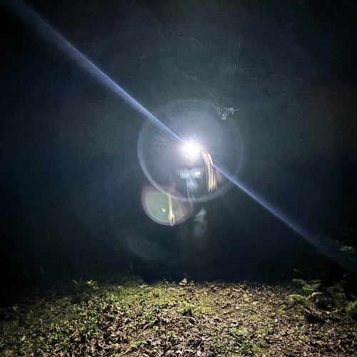 In the dark the distance between us