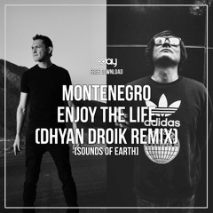Free Download: Montenegro - Enjoy The Life (Dhyan Droik Remix) [Sounds Of Earth]
