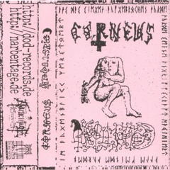 𝔊𝔯𝔬𝔩𝔩𝔣𝔯𝔦𝔢𝔡 - ℜ𝔢𝔱𝔲𝔯𝔫 𝔱𝔬 ℭ𝔞𝔰𝔱𝔩𝔢 𝔗𝔢𝔲𝔣𝔢𝔩𝔰𝔟𝔲𝔯𝔤
