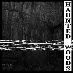 Haunted Woods