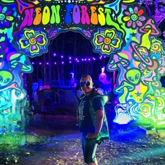 aRKaDi - Elements Festival 2025 NeonForest OnFire 3hrSet