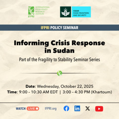 Informing Crisis Response in Sudan