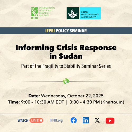 Informing Crisis Response in Sudan