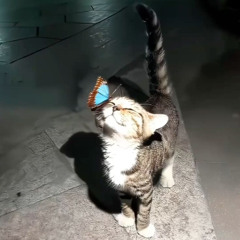 Snarky (Hoodtrap / Mylancore Remix)