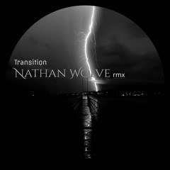 Underground Resistance - Transition (Nathan Wolve Techno Remix)