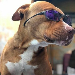 ELA CONFUNDIU MEU PAU BECK PLUG (VERSÃO PLUG)