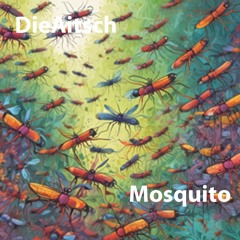 Mosquito