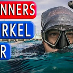 Best Good Snorkel Gear For Beginners Prices Reviews
