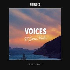 DT James - Voices (Mindloco Remix)
