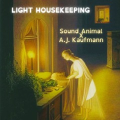 Sound Animal X A.J. Kaufmann - Light Housekeeping