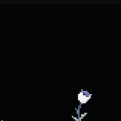 Roots of the Heart [Heart of Solxi OST]