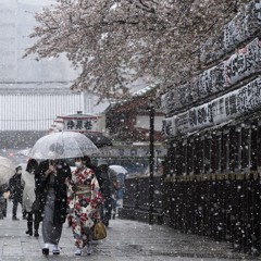 冬の雨(fuyu no ame)