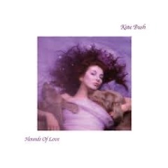 Kate Bush-Running Up That Hill(St.Sinny Remix)