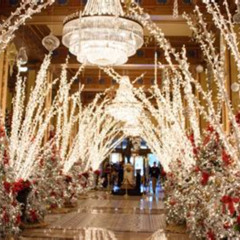 Best New Orleans Things To Do In December Tours Reviews