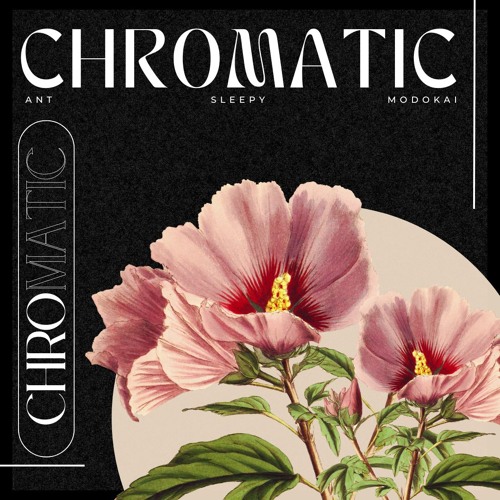 "CHROMATIC" - AnT x Sleepy x modoKai™