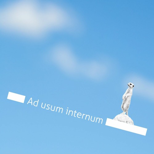 (Kuzunftsmusik #40) Ruki L - Ad usum internum