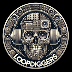 DKODA’s LoopDiggers Flips
