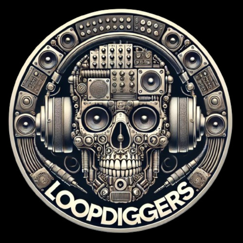 DKODA’s LoopDiggers Flips