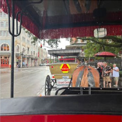Review Special Price New Orleans Small-Group Haunted History Carriage Tour