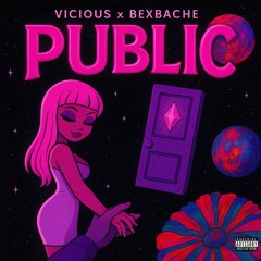 PUBLIC x 13