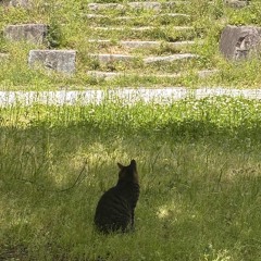 2025 스트레스 풀리는 신나는 클럽 믹셋