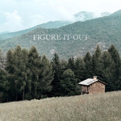FIGURE IT OUT