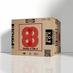 Secret Box Ft. GUAU
