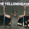 The YellowHeads @ Family On Tour Festival (Leon - Spain) 28.06.2025 DJ mix artwork - Electronic music tracklist cover image