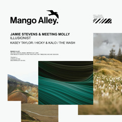 JAMIE STEVENS & MEETING MOLLY Illusionist (Hicky & Kalo 'Stereo 6AM' Remix)