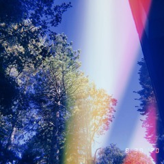 Feeld Trip: Vol 002