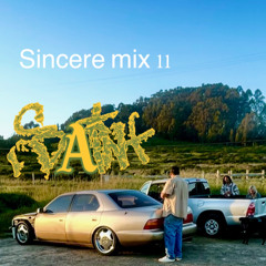 SINCERE MIX 11