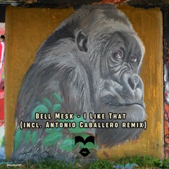 Bell Mesk - I Like That (Original Mix)