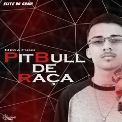 MEGA FUNK PITBULL DE RAÇA (DJ Moove) 2020