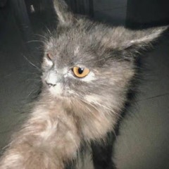 Apa yang lebih indah dari mencintaimu?