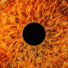 Tekno Caitrans (Original Mix)