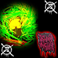 Brutal Mastication of Sclerenchyma