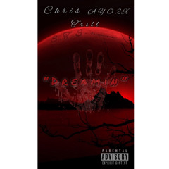 S.T.S. - DREAMIN (Official Audio)